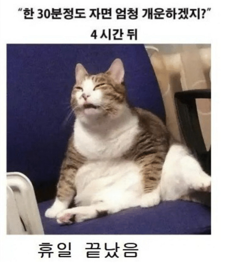 df3997c0fb0a2862d275b8bf7aa43d3a.png