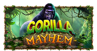 [PRAGMTIC] 고릴라 메이햄